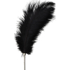 plumeau tickler taboom 35cm 3 scaled