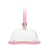 pompe a vagin rose gold 4 scaled