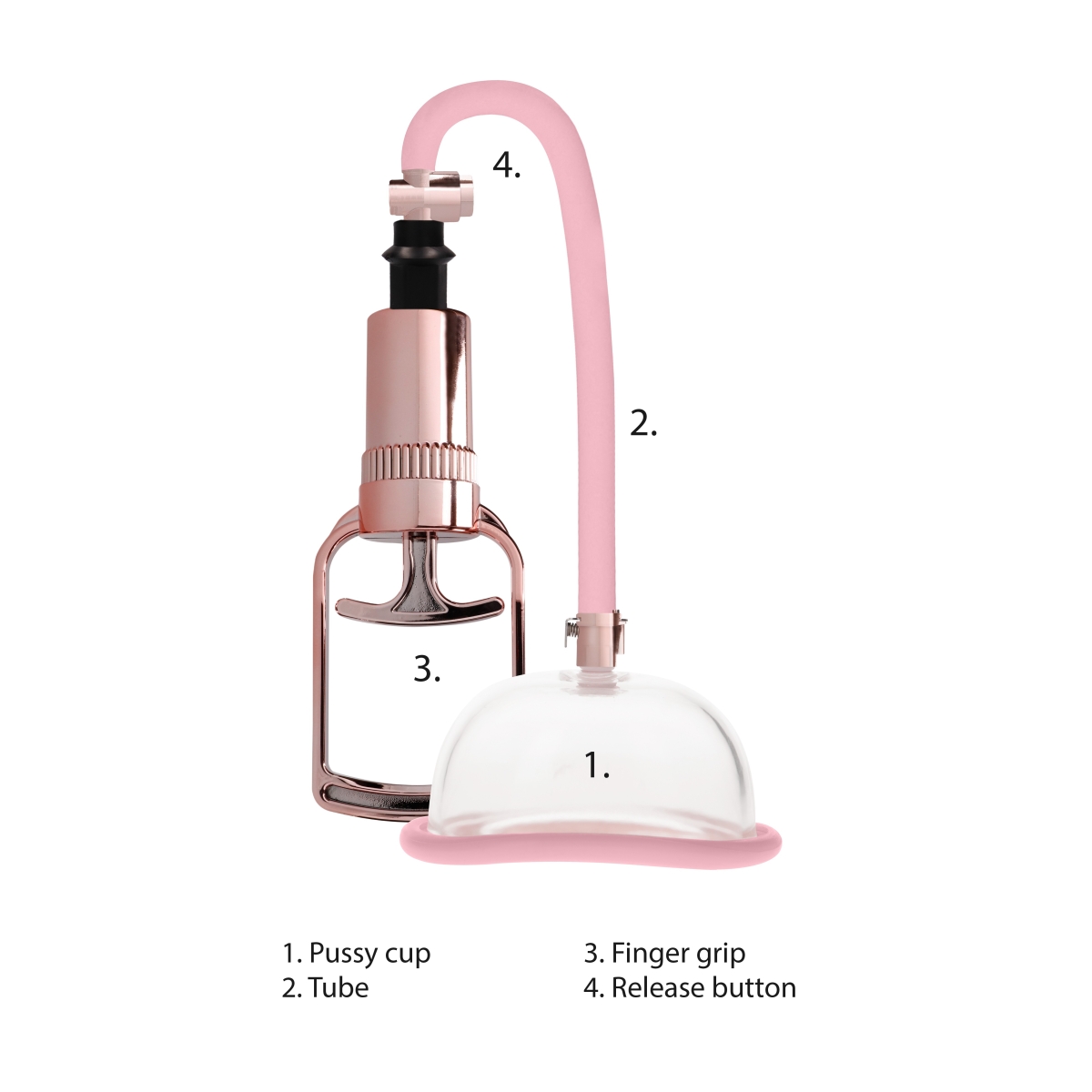 pompe a vagin rose gold 5 scaled