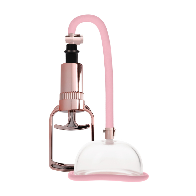 pompe a vagin rose gold scaled