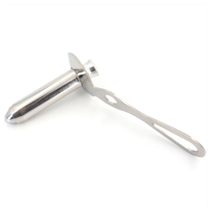 proctoscope anal avec obturateur chelsea eaton l 65 x 21cm 4
