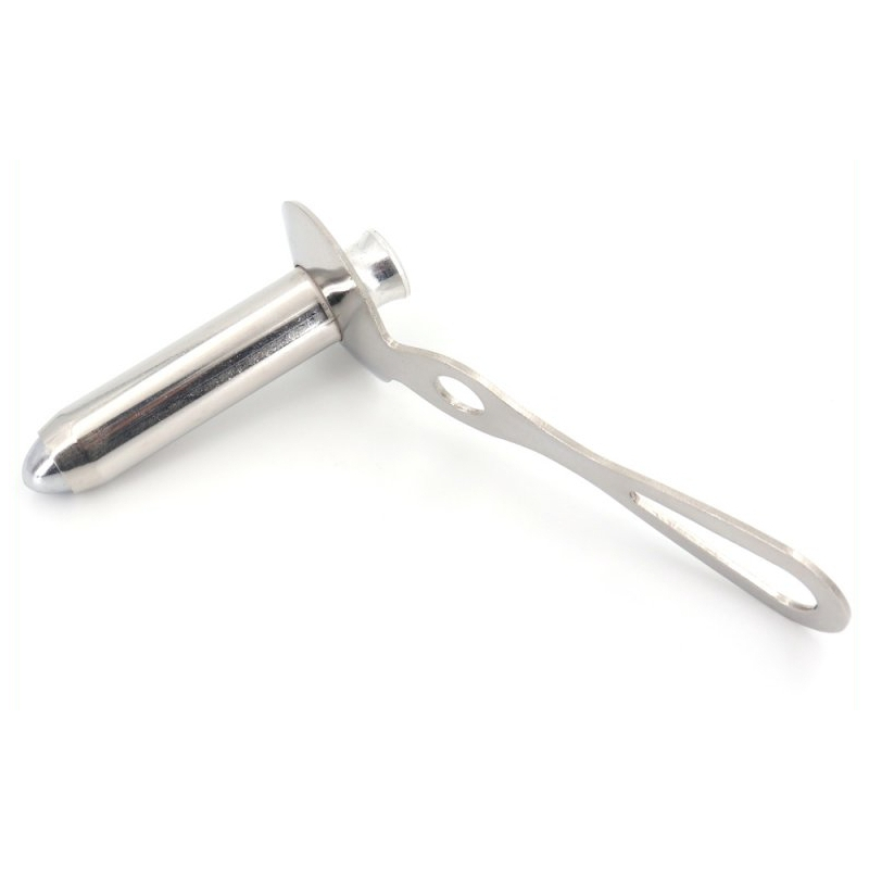 proctoscope anal avec obturateur chelsea eaton m 65 x 19cm 1