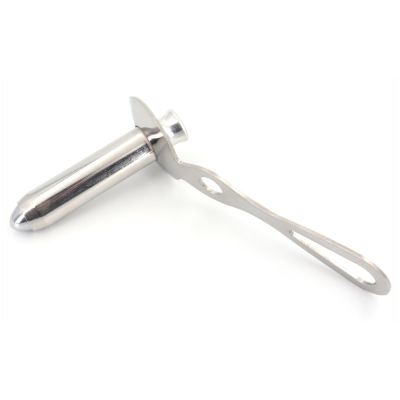 proctoscope anal avec obturateur chelsea eaton s 65 x 18cm 1