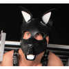 puppy set oreilles et langue en cuir blanc 1