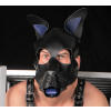 puppy set oreilles et langue en cuir bleu 1