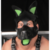 puppy set oreilles et langue en cuir vert 1