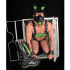 puppy set oreilles et langue en cuir vert 3 scaled