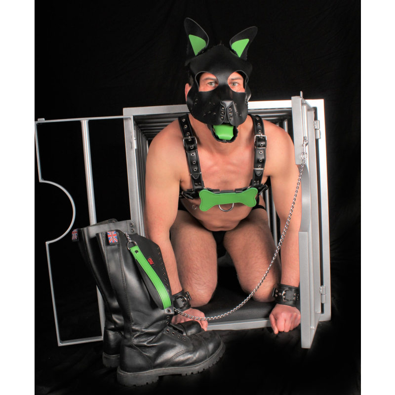 puppy set oreilles et langue en cuir vert 3 scaled