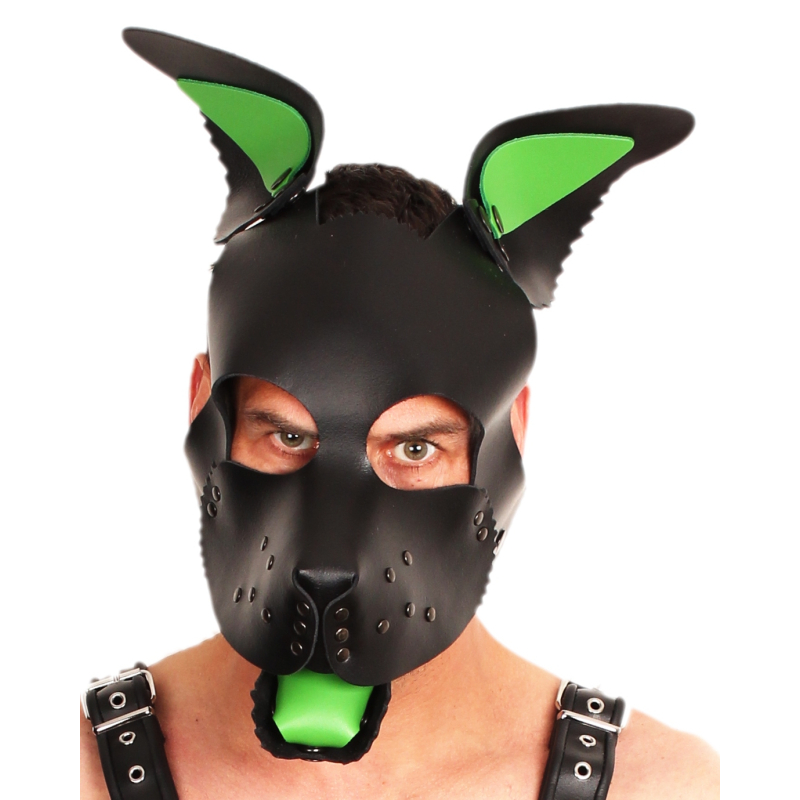 puppy set oreilles et langue en cuir vert 4