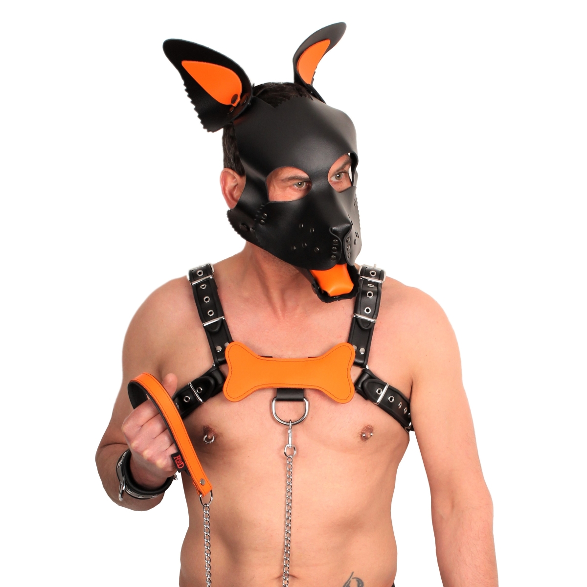 puppy set oreilles et langue en cuir vert 7
