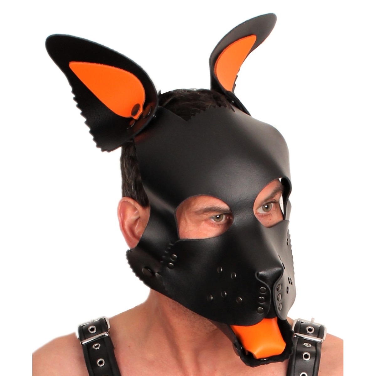 puppy set oreilles et langue en cuir vert 9
