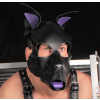 puppy set oreilles et langue en cuir violet 1