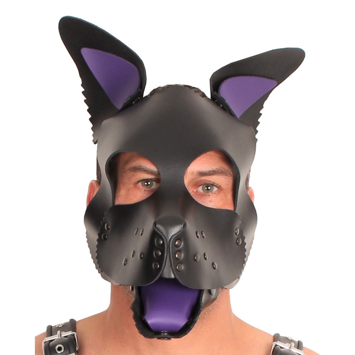 puppy set oreilles et langue en cuir violet 3