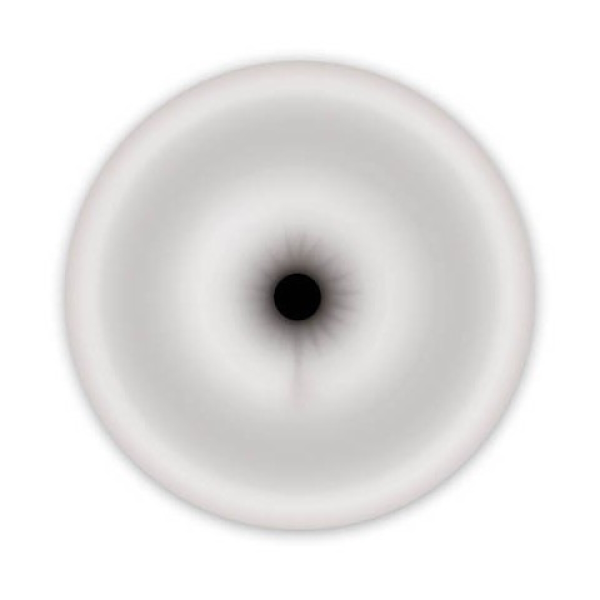 raccord de pompe forme anus