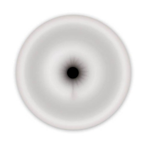 raccord de pompe forme anus