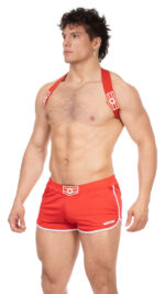 short norfok rouge 3