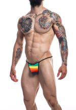 slip sexy briefkini rainbow 2 scaled