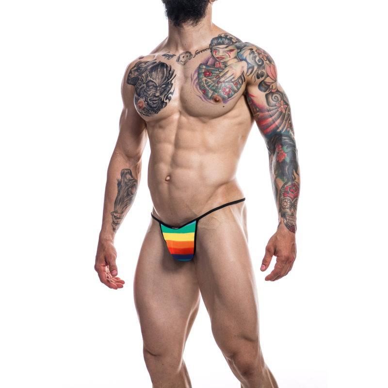 slip sexy briefkini rainbow 2 scaled