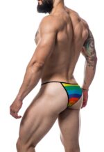 slip sexy briefkini rainbow 3 scaled