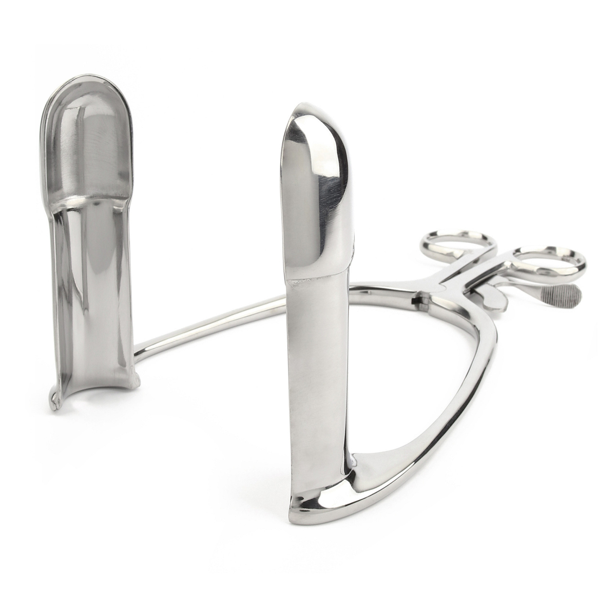 speculum barr rectal grand format 75 x 95cm 2