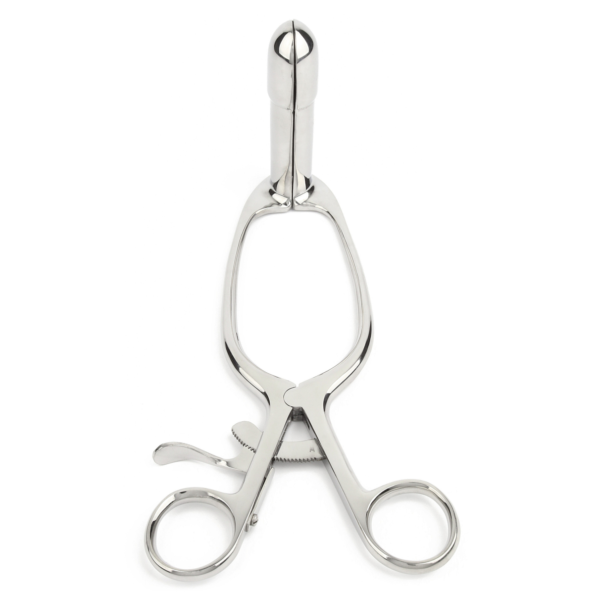 speculum barr rectal grand format 75 x 95cm 3