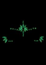 stickers strass visage phosphorescent glow jewelry 8