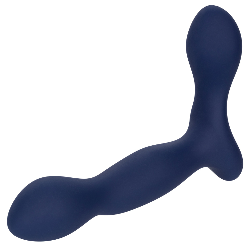 stimulateur de prostate expert probe viceroy 10 x 25cm 10