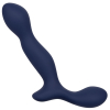 stimulateur de prostate expert probe viceroy 10 x 25cm 11