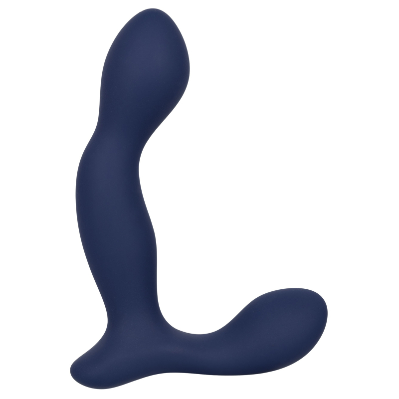 stimulateur de prostate expert probe viceroy 10 x 25cm 12