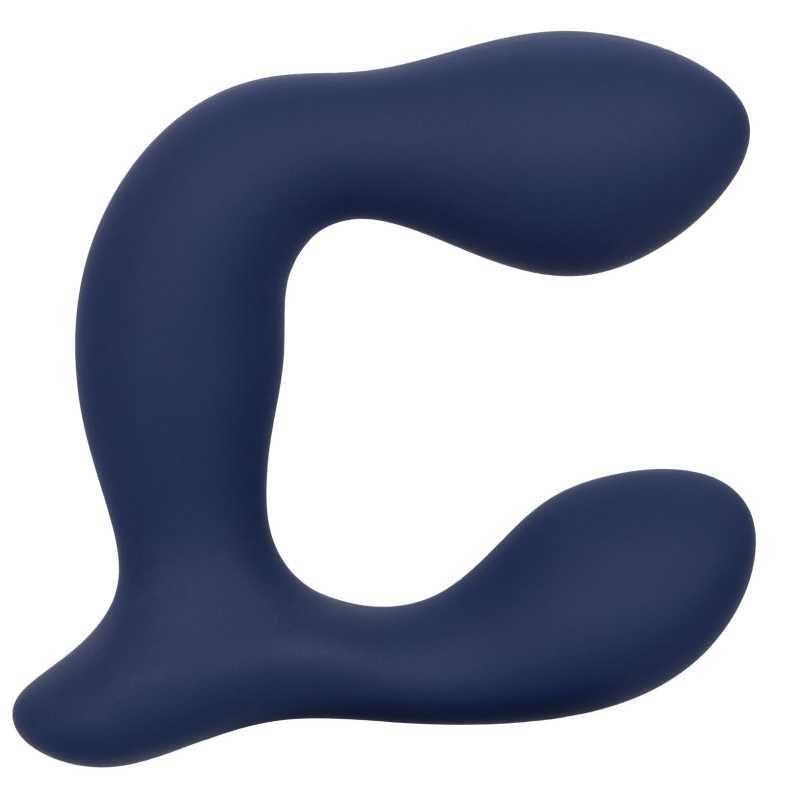 stimulateur de prostate expert probe viceroy 10 x 25cm 13