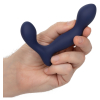 stimulateur de prostate expert probe viceroy 10 x 25cm 4