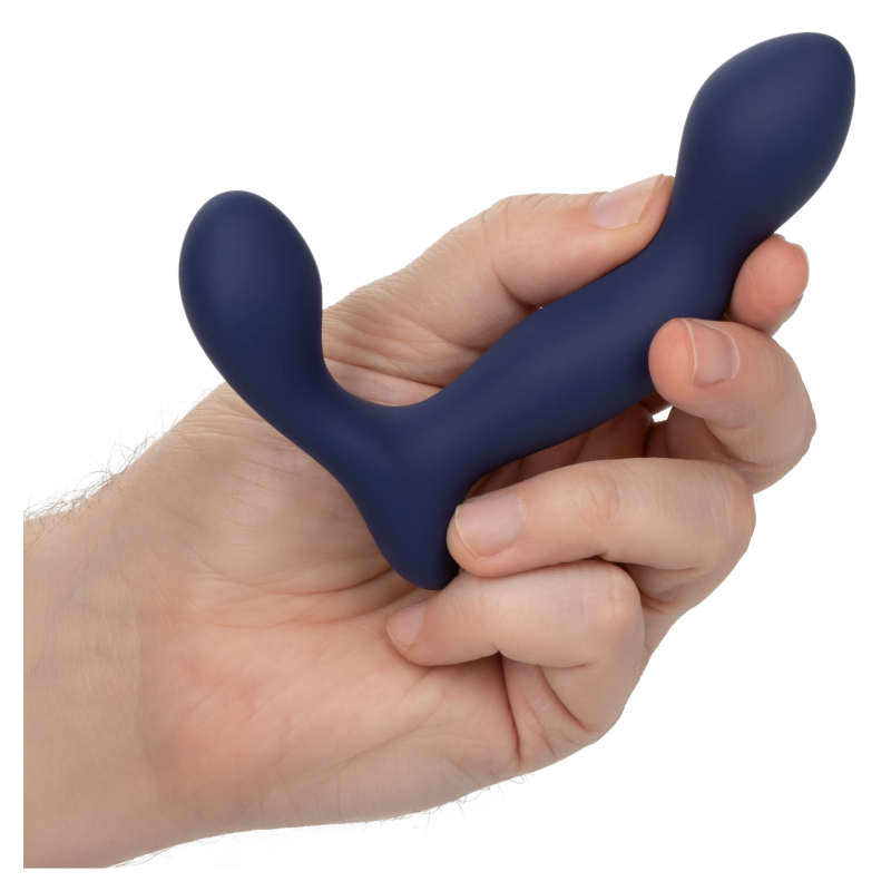 stimulateur de prostate expert probe viceroy 10 x 25cm 4