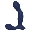 stimulateur de prostate expert probe viceroy 10 x 25cm 5