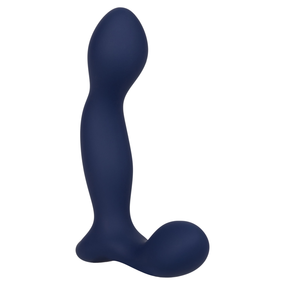 stimulateur de prostate expert probe viceroy 10 x 25cm 7