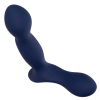 stimulateur de prostate expert probe viceroy 10 x 25cm 8