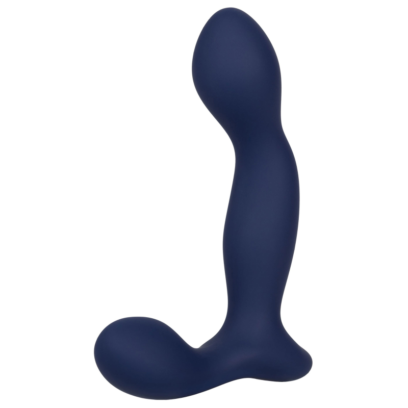 stimulateur de prostate expert probe viceroy 10 x 25cm