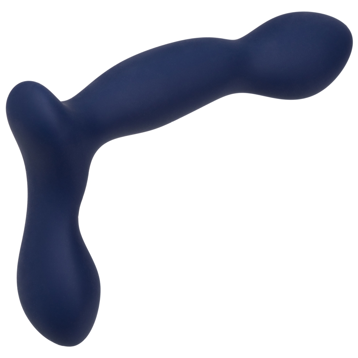 stimulateur de prostate expert probe viceroy 10 x 25cm 9