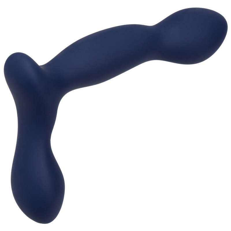 stimulateur de prostate expert probe viceroy 10 x 25cm 9