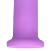 stimulateur-de-prostate-rotatif-rolader-19-x-4cm stimulateur de prostate rotatif rolader 19 x 4cm 6