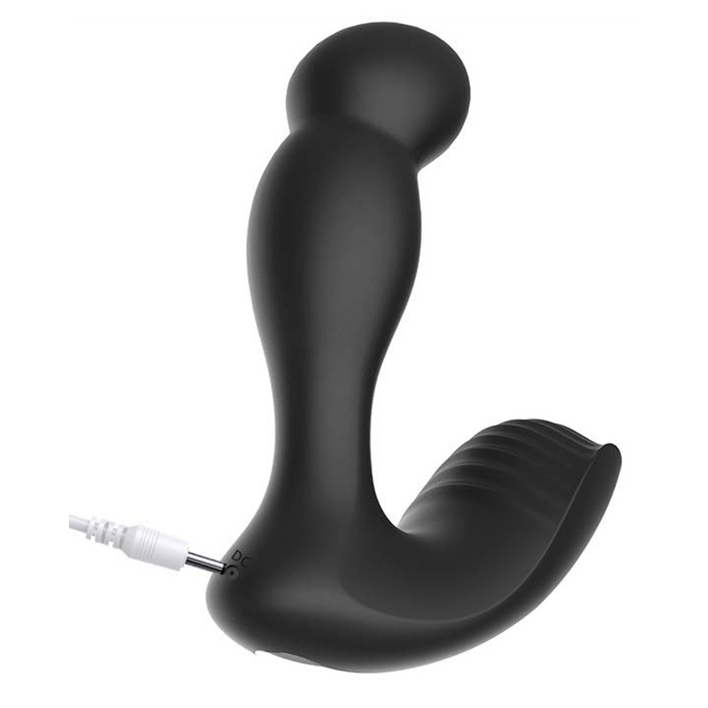 stimulateur de prostate vibrant burntoy 10 x 33cm 4