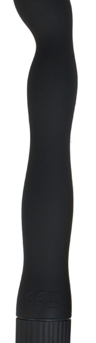 stimulateur point g anal lover 15 x 24 cm