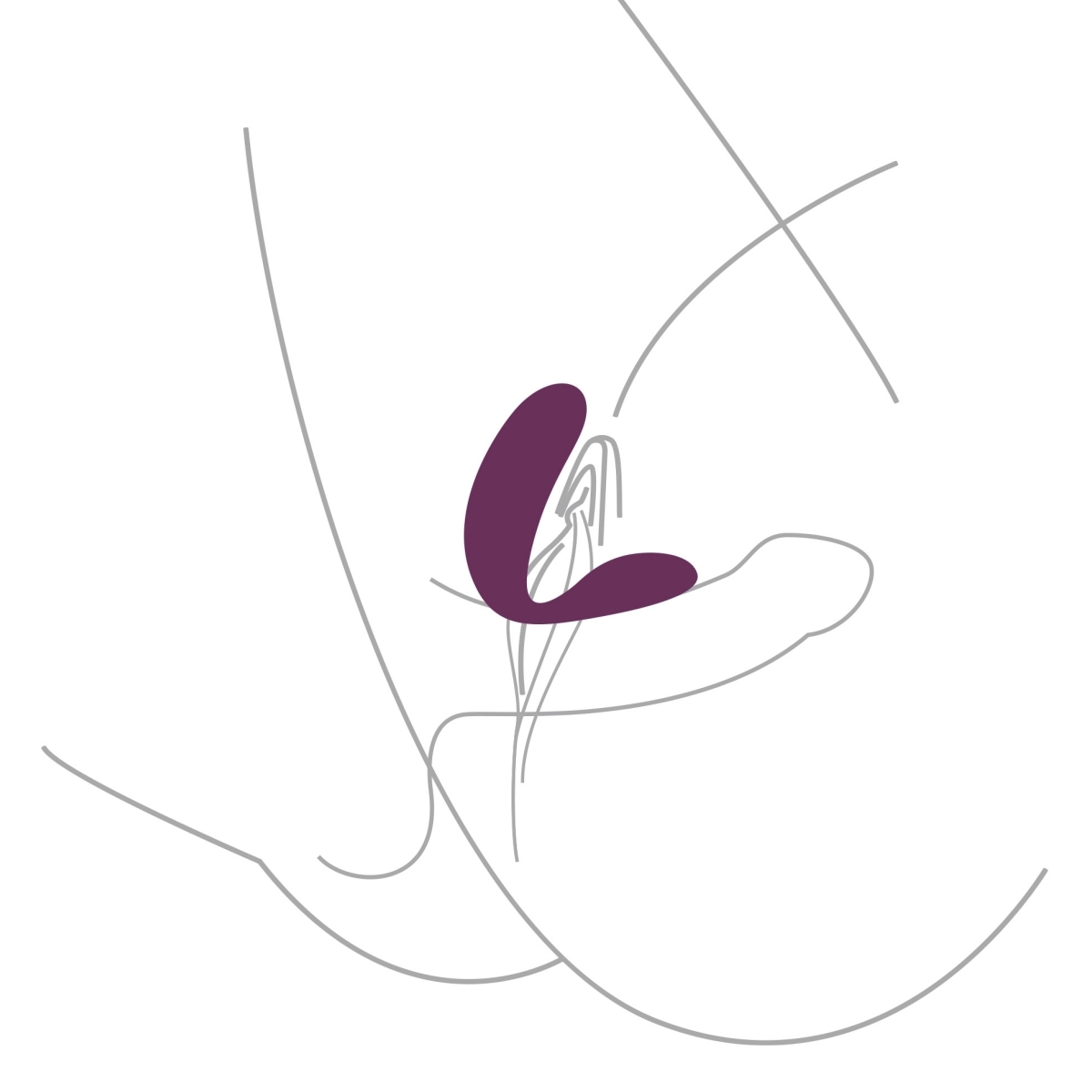 stimulateur pour couple bound love violet 4