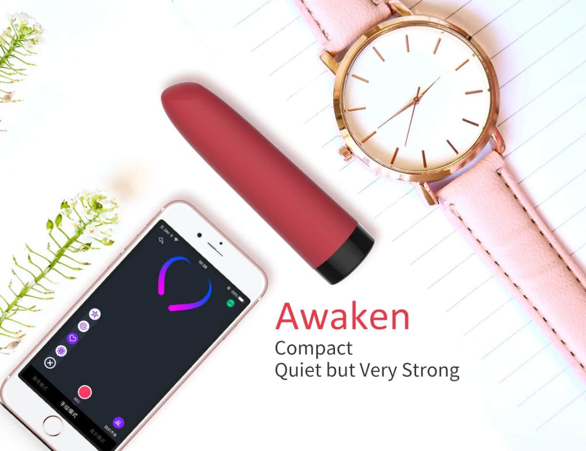 stimumateur vibro awaken controle a distance 95 x 24 cm 23