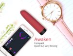 stimumateur vibro awaken controle a distance 95 x 24 cm 23