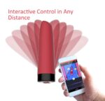 stimumateur vibro awaken controle a distance 95 x 24 cm 25