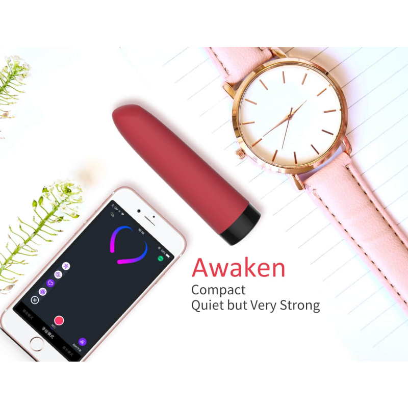 stimumateur vibro awaken controle a distance 95 x 24 cm 6