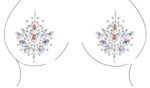strass autocollants tetons dazzling nipple bling 5 scaled