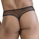 string vevito noir 1
