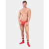 thong iver 2