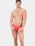 thong iver 3